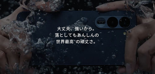 水中撮影